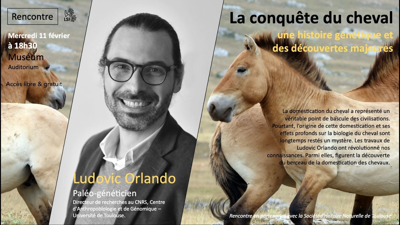 Domestication du cheval : ce que révèle l’ADN ancien | Conférence de Ludovic Orlando