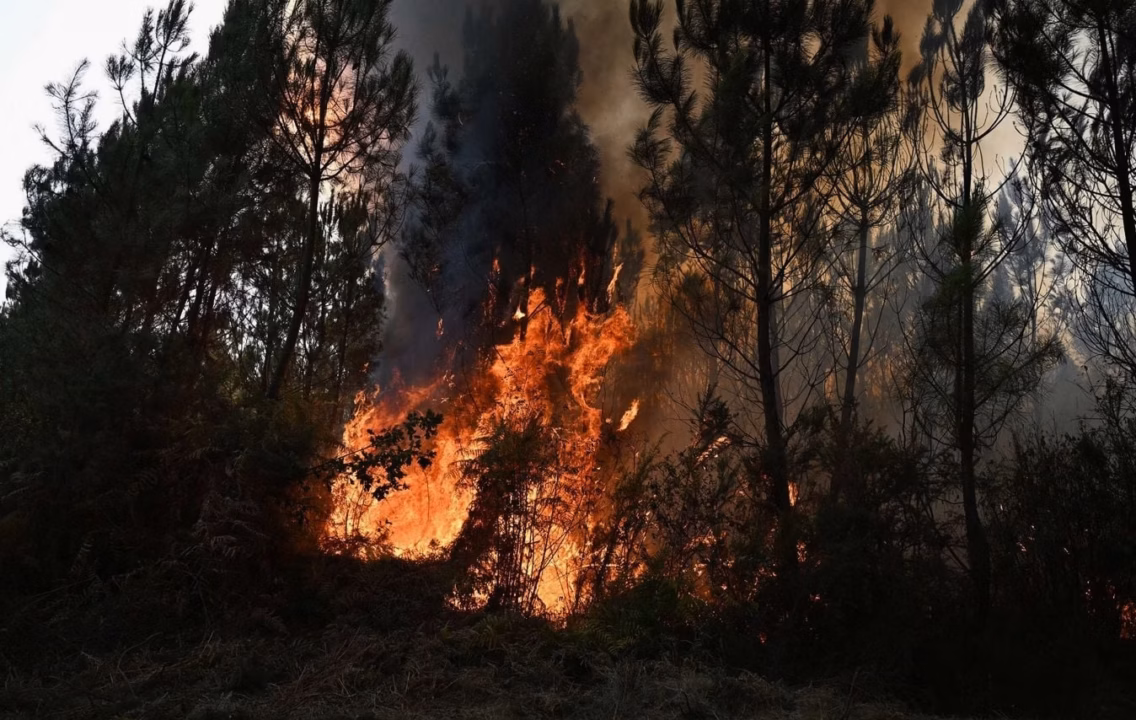EN DIRECT – Incendie dans les Landes : nouvelles flammes ravagent la région lors d&rsquo;une canicule persistante